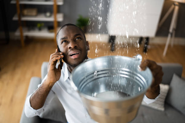 Best Ceiling water damage repair  in Senoia, GA