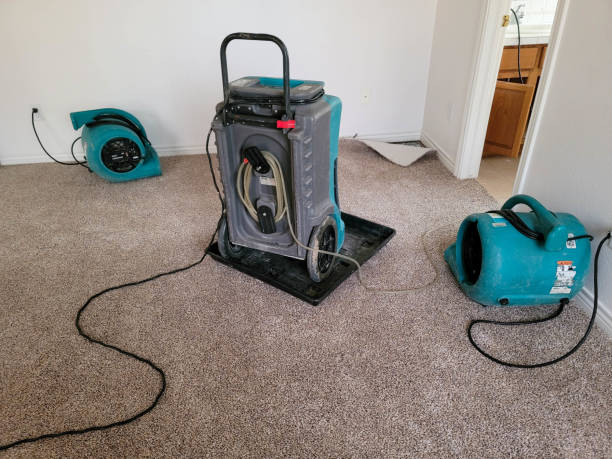 Best Flood restoration services  in Senoia, GA
