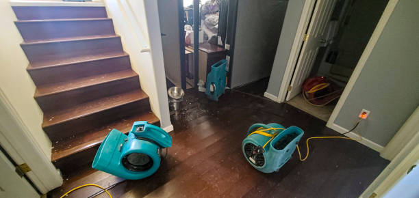 Best Carpet water damage restoration  in Senoia, GA