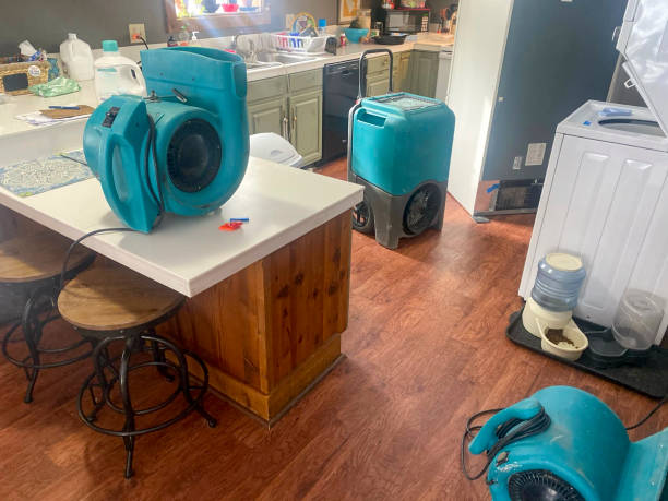 Best Water damage restoration company  in Senoia, GA