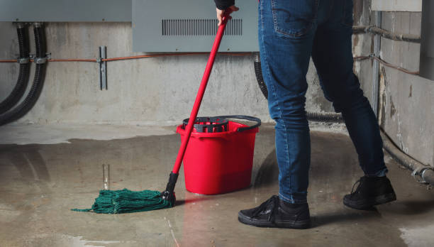 Best Mold removal after water damage  in Senoia, GA