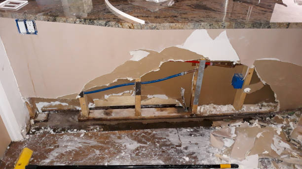 Best Mold removal after water damage  in Senoia, GA