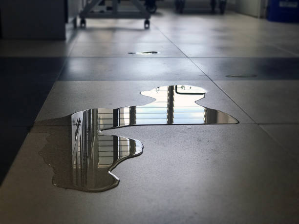 Best 24/7 water damage repair  in Senoia, GA