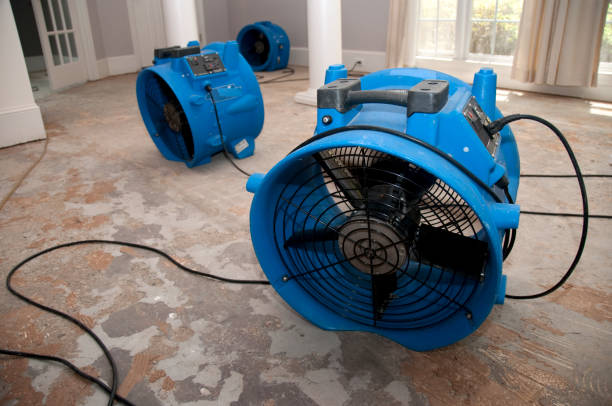Best Fire Damage Restoration  in Senoia, GA