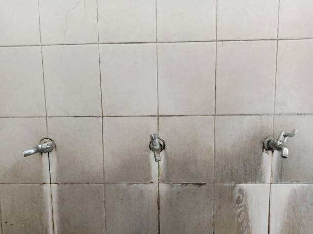 Best Professional water damage repair  in Senoia, GA