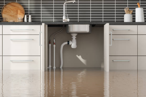 Best Commercial water damage restoration  in Senoia, GA