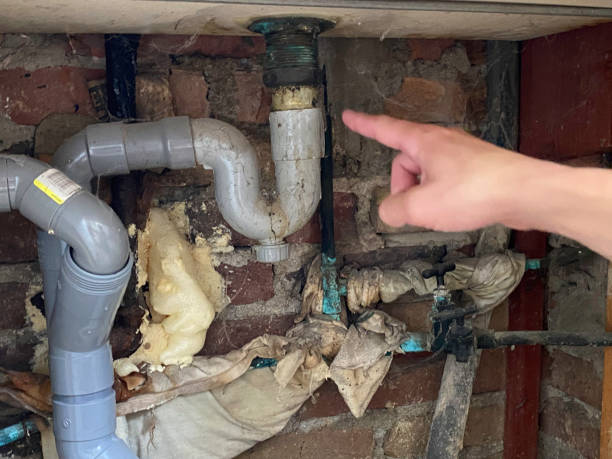 Best Water damage cleanup near me  in Senoia, GA
