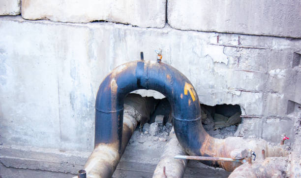 Best Carpet water damage restoration  in Senoia, GA
