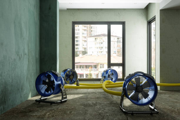 Best Emergency water damage restoration  in Senoia, GA