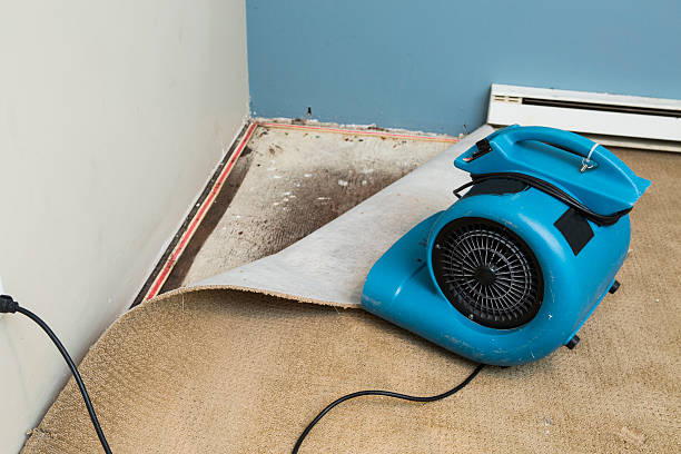 Best Flooded house restoration  in Senoia, GA